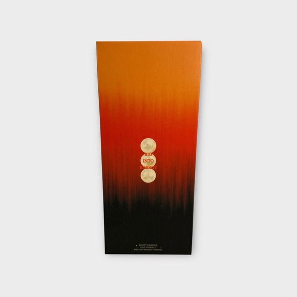 POP MART The Monsters Big Into Energy Rock The Universe Vinyl Plush Doll Labubu - Picture 6 of 12